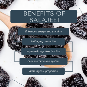 Benefits of Salajeet (Shilajit)