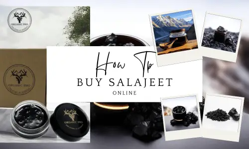 How To Buy Salajeet Online