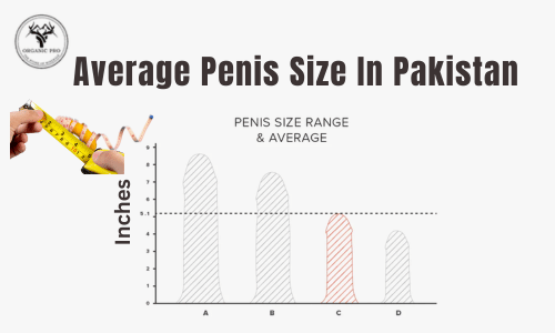 Average Penis Size in Pakistan